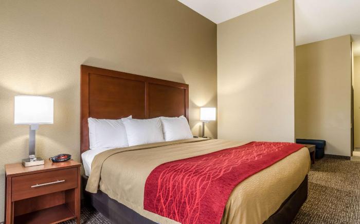 Comfort Inn & Suites Augusta