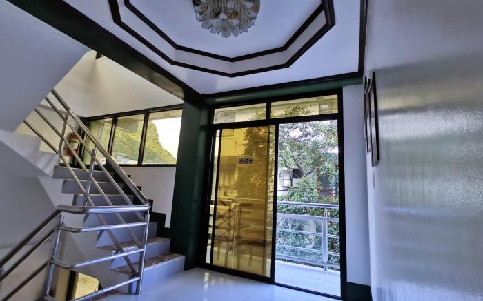 Alocasia Hostel