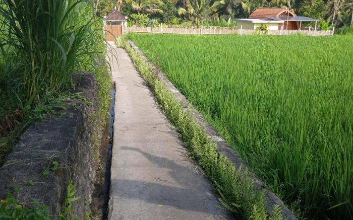 KUBU SELAT VILLA
