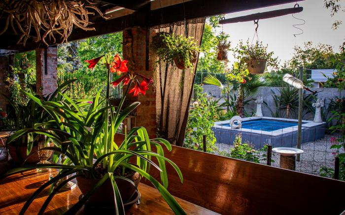 Ebonymoon Guest House and Studio