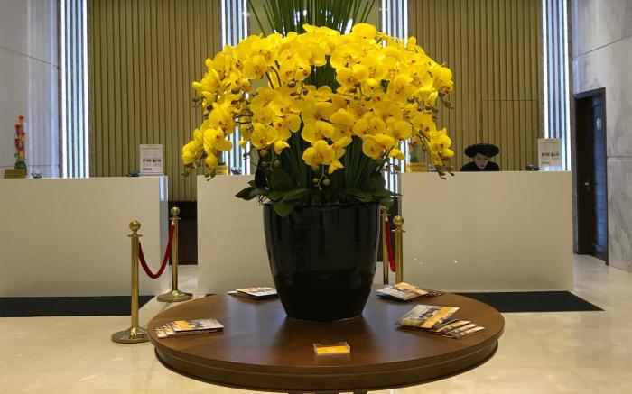 Yarra Ocean Suites Danang