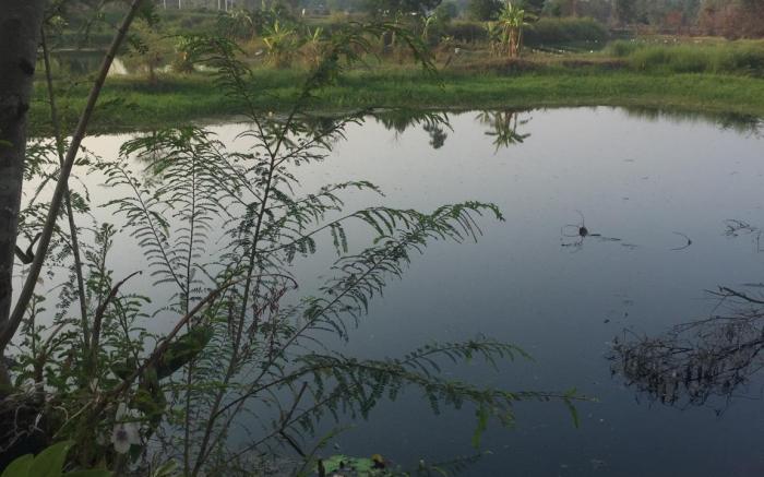 Kabinburi Resorts