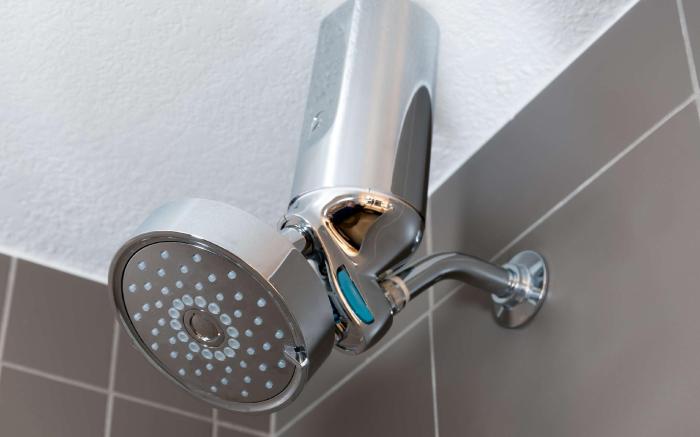 Embassy Suites by Hilton Tampa USF Near Busch Gardens