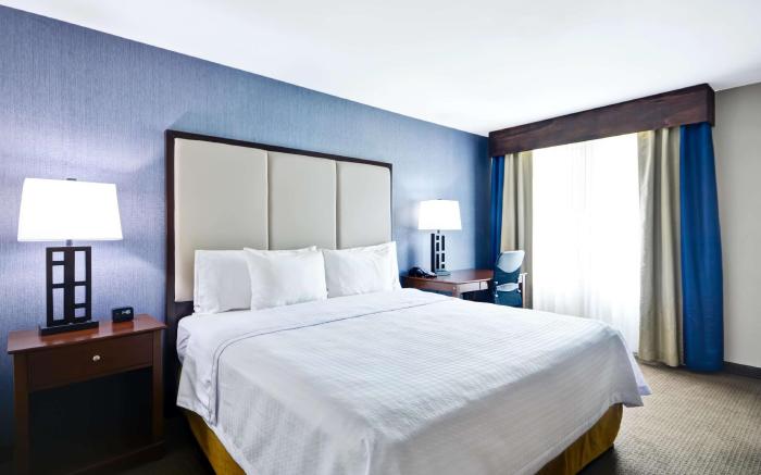 Homewood Suites by Hilton Dallas-Lewisville