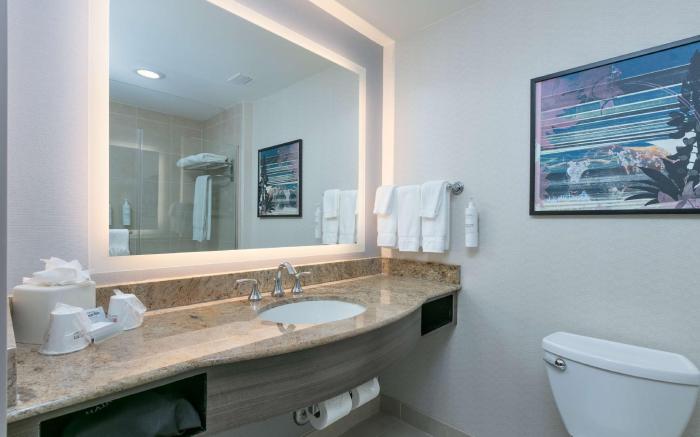 Hilton Garden Inn Dallas/Arlington