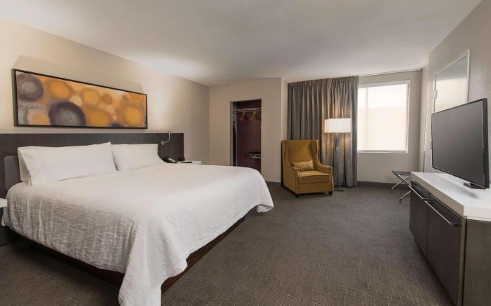 Hilton Garden Inn Las Colinas