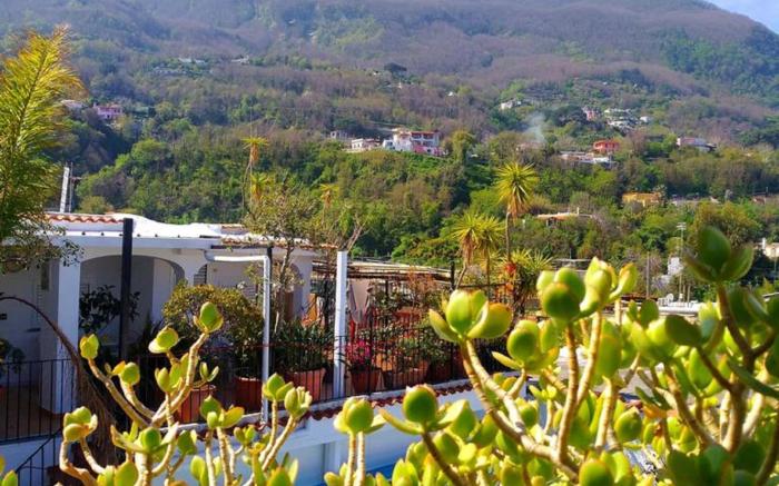 Hotel La Maggioressa