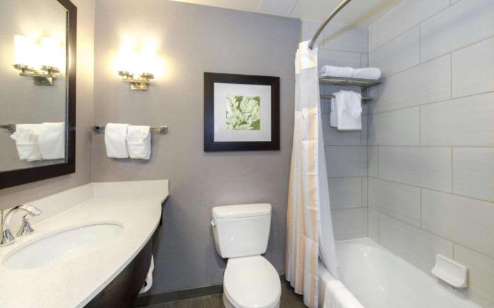 Hilton Garden Inn Raleigh-Cary