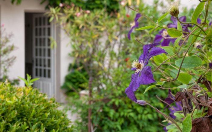 Hotel La Maison Douce