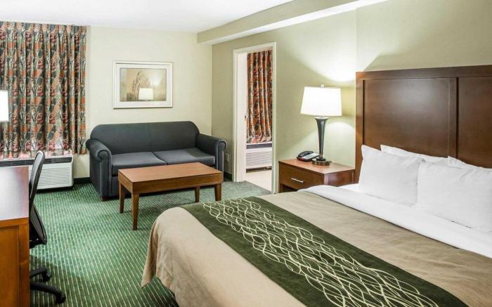 Comfort Inn Douglasville - Atlanta West