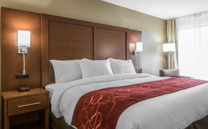 Comfort Inn & Suites Macon West