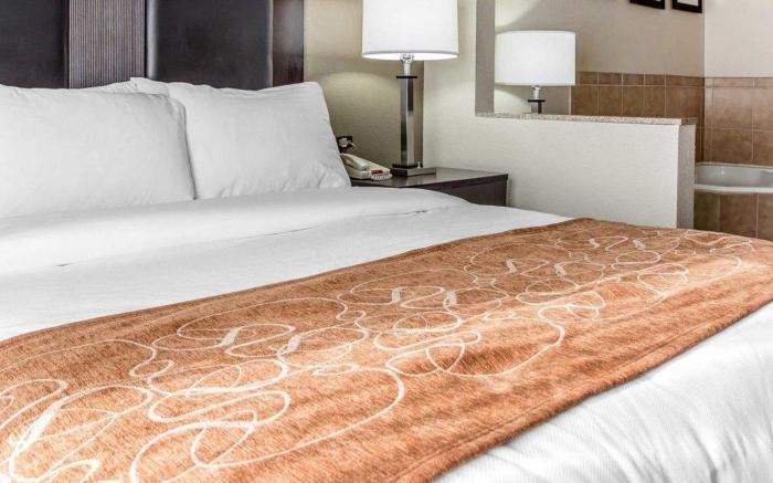 Comfort Suites Morrow- Atlanta South