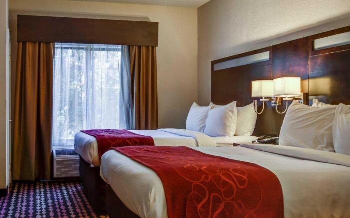 Comfort Suites Northside Hospital Gwinnett
