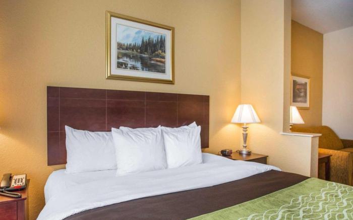 Comfort Inn Blackshear Hwy 84