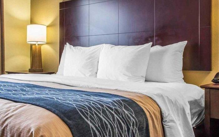 Comfort Inn & Suites Ballpark Area