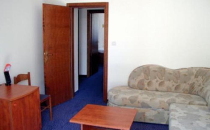 Hotel Bor