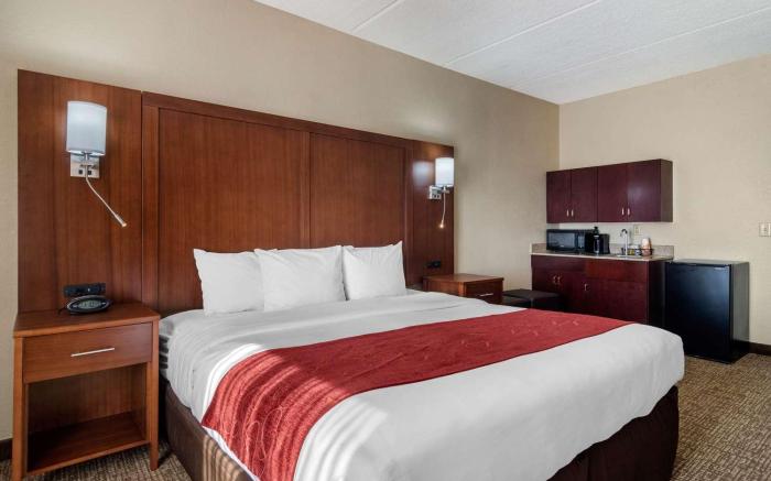 Comfort Suites Woodstock - Atlanta North
