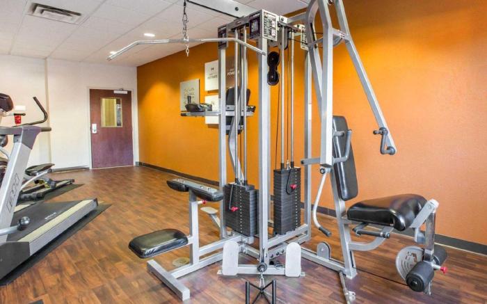 Comfort Suites McDonough Atlanta South
