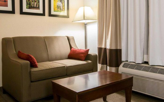 Comfort Suites Cumming-Atlanta near Northside Hospital Forsyth