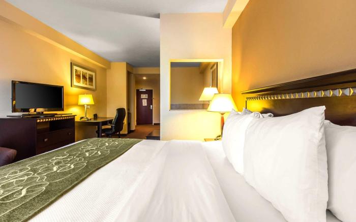 Comfort Suites Forsyth near I-75