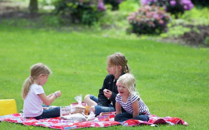 Villa in Netherlands with Sauna  Comfort