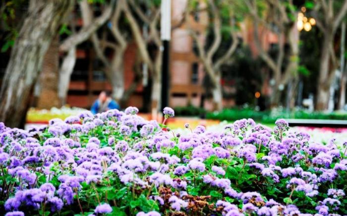 Roosevelt Hotel & Suites