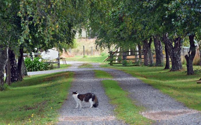 Glencoe Country Bed and Breakfast