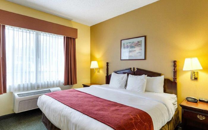 Comfort Suites Bush Intercontinental Airport