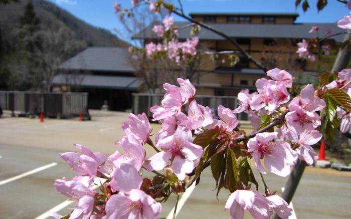 Okuhida Hot spring Miyama Ouan
