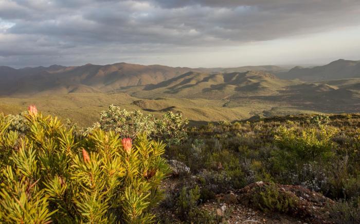 Wildehondekloof