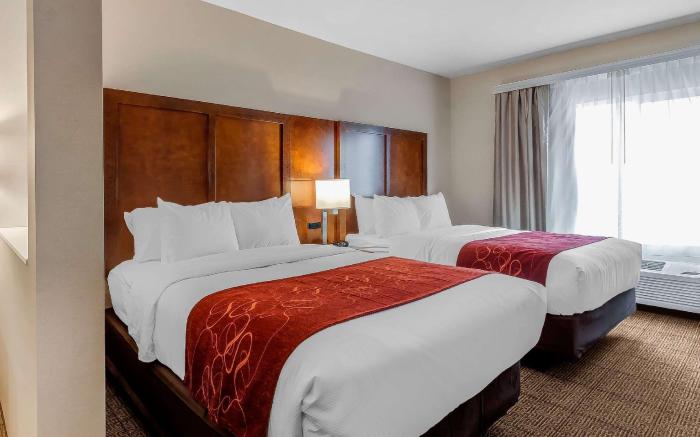 Comfort Suites La Vista - Omaha