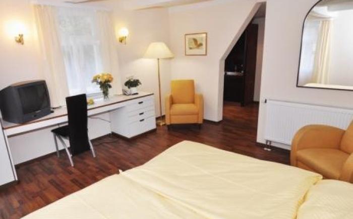 Le petit Palais - Hotel/Pension