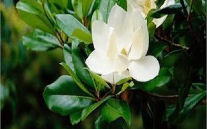 Marina 10 Design Hotel & SPA