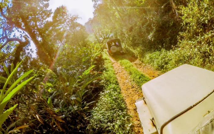 Shola Crown Resort – Munnar