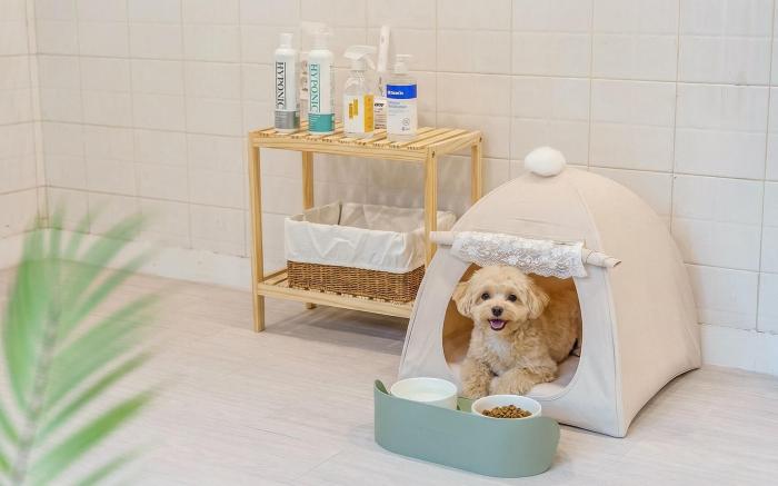 Gapyeong Santa Maria Dog-friendly Privat