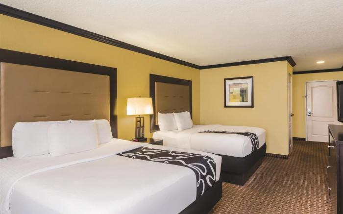 Spark by Hilton Brandon