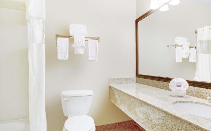 Baymont by Wyndham Dallas/ Love Field