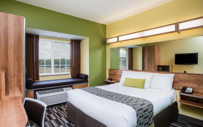 Microtel Inn & Suites by Wyndham Opelika