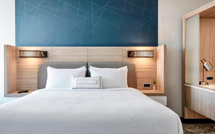 SpringHill Suites by Marriott Atlanta Perimeter Center