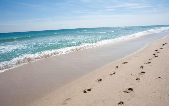 Homewood Suites by Hilton Ft.Lauderdale Airport-Cruise Port