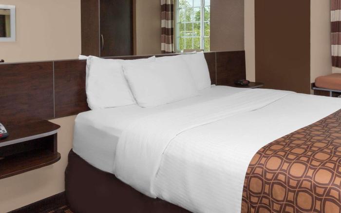 Microtel Inn & Suites by Wyndham Columbia/At Fort Jackson