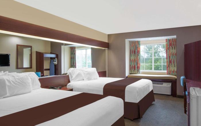 Microtel Inn & Suites by Wyndham Meridian
