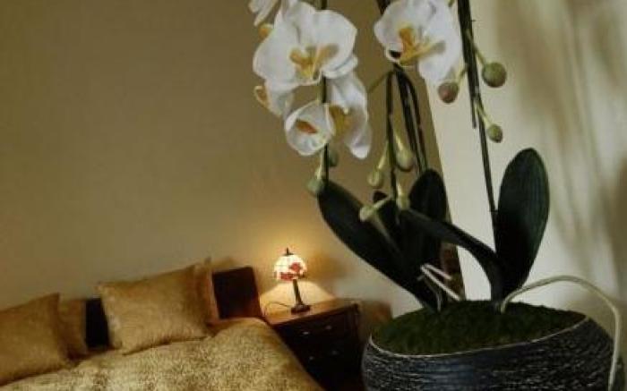 Krakow For You Budget Apartments