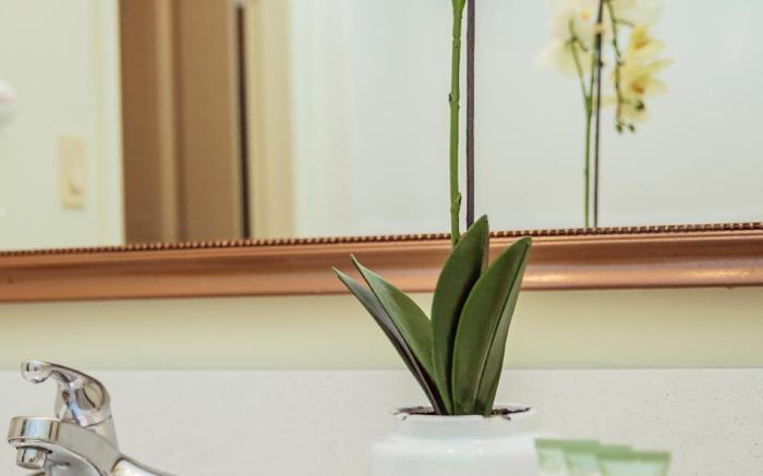Service Plus Inn and Suites Calgary