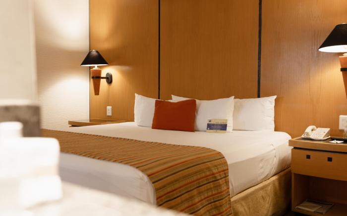Hotel Guadalajara Plaza Ejecutivo