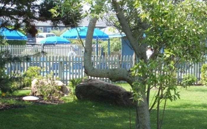 Driftwood Resort on the Ocean