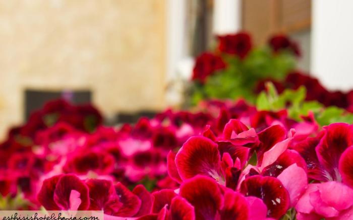 Esthisis suites Chania