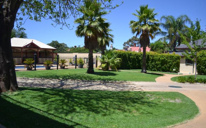 Barossa Dreams