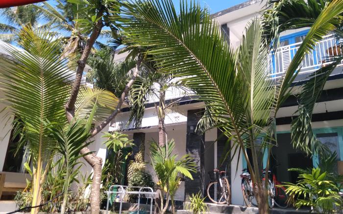 Palm Trees Villas