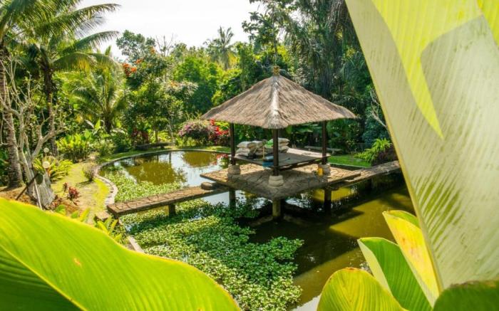 Bali Palms